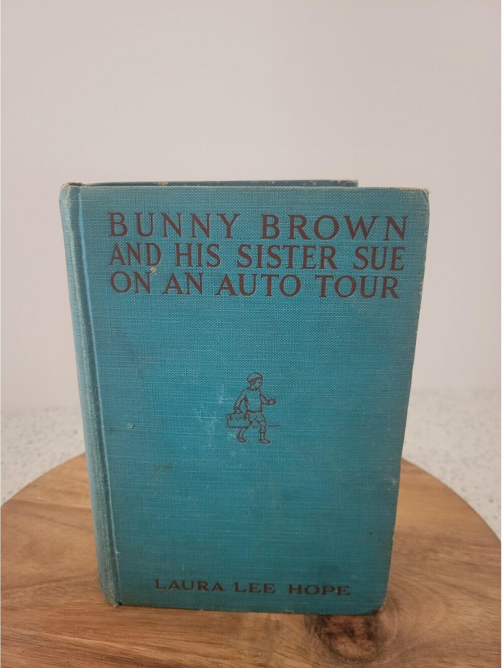 Vintage 1917 Bunny Brown And His Sister Sue On An Auto Tour Laura Lee Hope HC